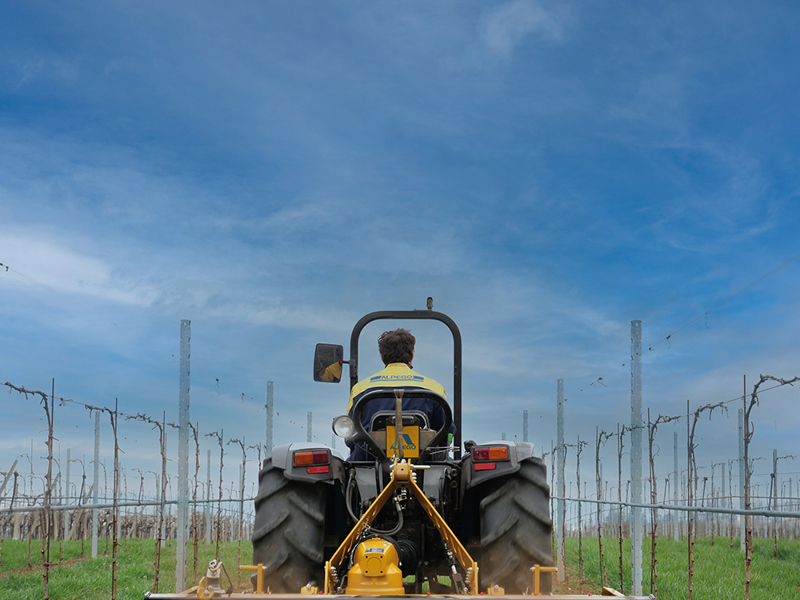 Rigid Alpego Power Harrow working, fitted with Cage roller